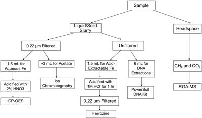 Methanogen Productivity and Microbial Community Composition Varies With Iron Oxide Mineralogy